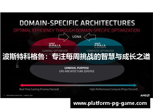 波斯特科格鲁：专注每周挑战的智慧与成长之道